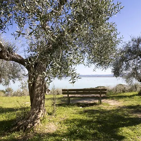 Baldovino Di Monte Bed & Breakfast