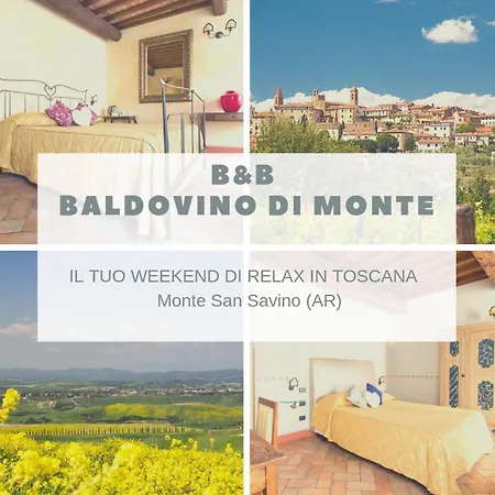 Baldovino Di Monte *